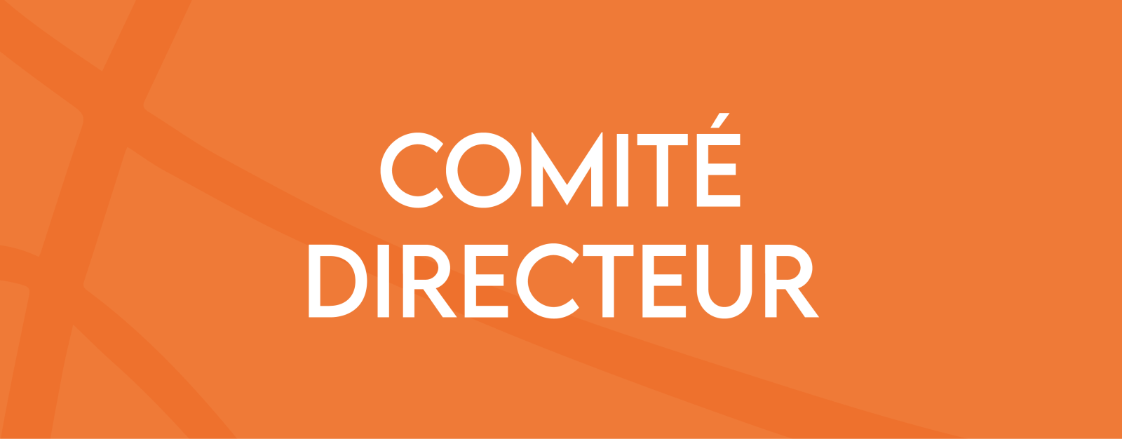 PV Consultation à distance du 31 Juillet 2025